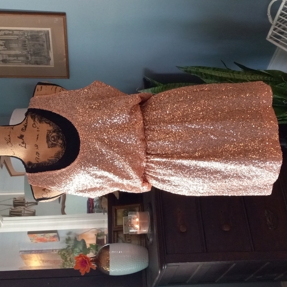 Robert Rodriguez Dresses & Skirts - Robert Rodriguez NWT Neiman Marcus Rose Gold Blush Sequin Silk Racerback…